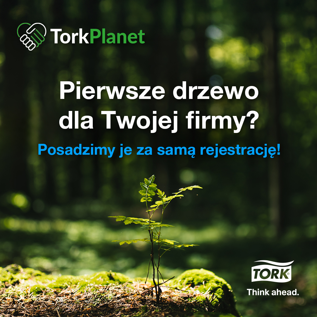 Pierwsze drzewo