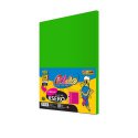 Papier ksero A4 80 g 100 ark. kolorowy  INTENSYWNY Pastello IT230 zielony