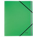 3915 Teczka segregująca z 12 przekładkami Recycle A4 Leitz zielony