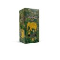 Herbata zielona saszetki Green Tea Soursop 25 szt. x 2 g Adalbert's