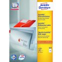 3679 Trwałe etykiety uniwersalne A4 100 ark./op. 97 x 55 mm białe Avery Zweckform